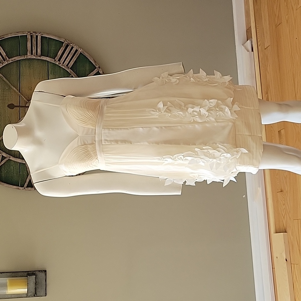 Sue Wong Ivory Silk Dress with Floral Applique